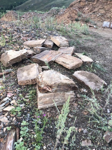 Пошаговая дорожка из плит златолит кора дерева купить в Реже