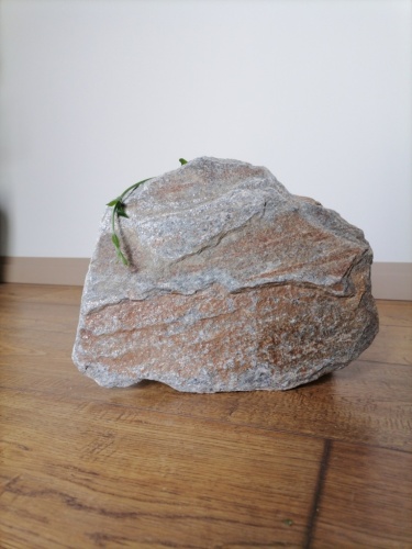 златолит уральский галтованный для мощения